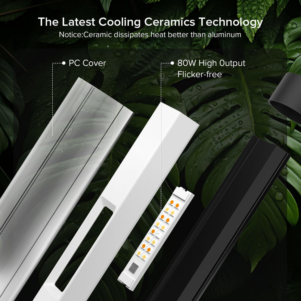 SANSI beam coverage across multiple pots demonstrating even plant light