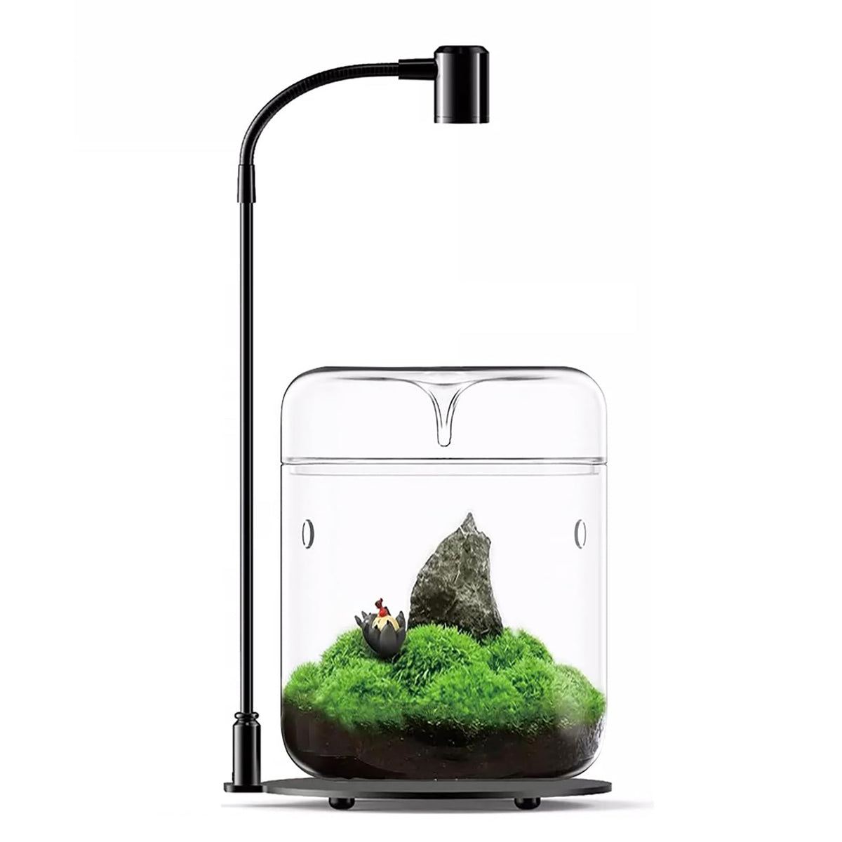 SARUFO front view terrarium showing clear glass and compact design beneficial for decor