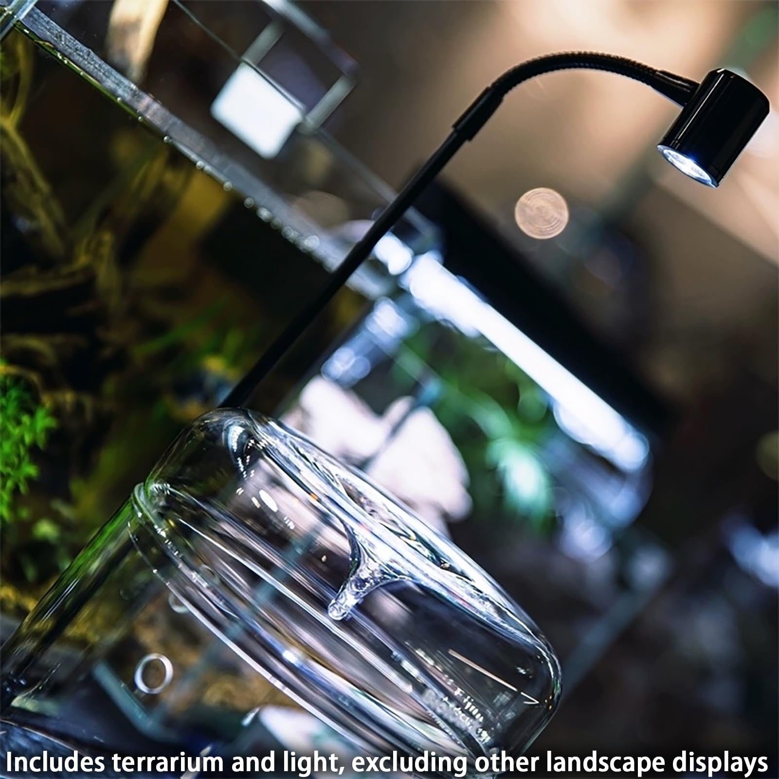 SARUFO terrarium on a desk in a home office adding green décor and calming atmosphere