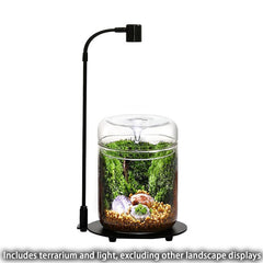 SARUFO terrarium illuminated by included LED light demonstrating improved indoor plant growth