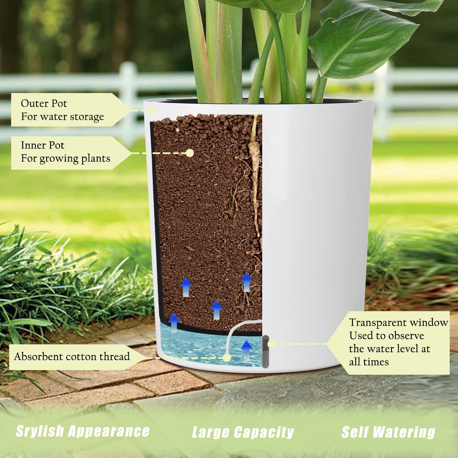 SAROSORA planter with tall houseplant to show height and scale, supporting indoor trees and large plants