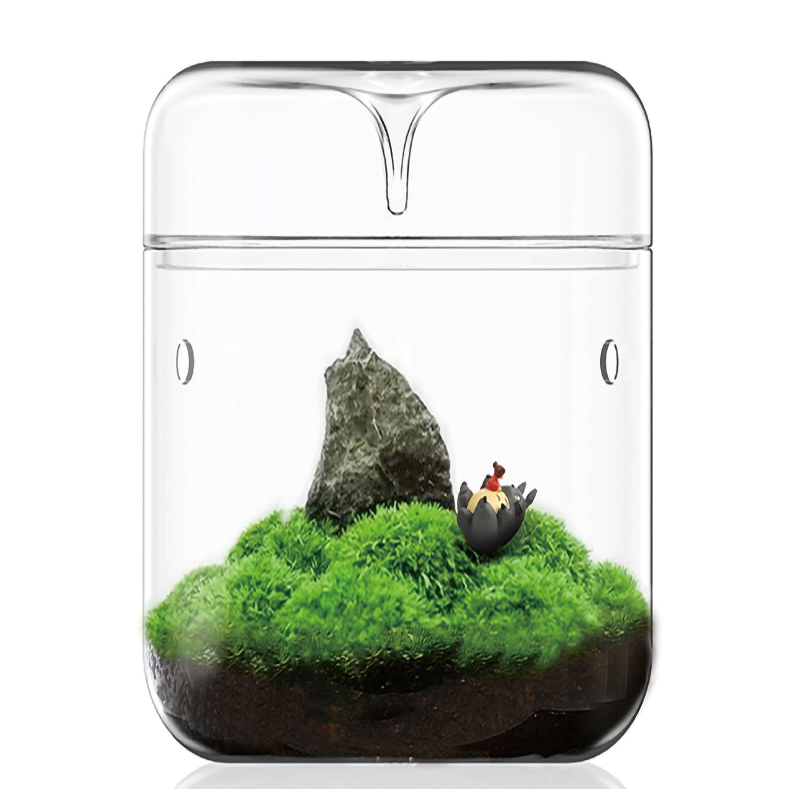 SARUFO front view of lidded terrarium showing clear glass and elegant form benefiting display