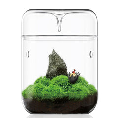 SARUFO front view of lidded terrarium showing clear glass and elegant form benefiting display