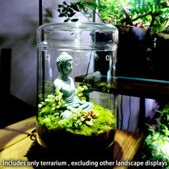 SARUFO terrarium on office desk providing a calming green focal point and visual relief