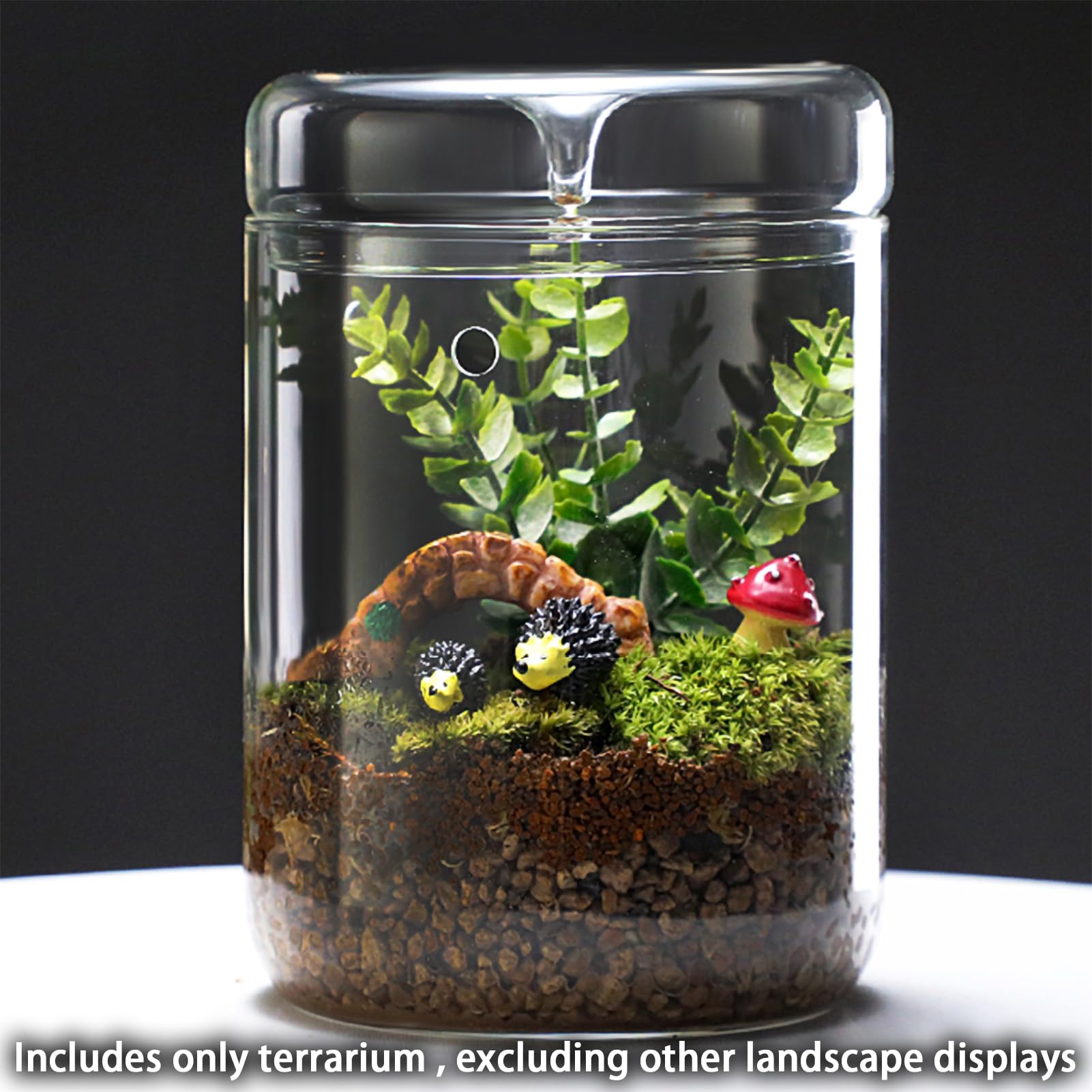SARUFO terrarium held in hand showing compact size for easy placement and portability