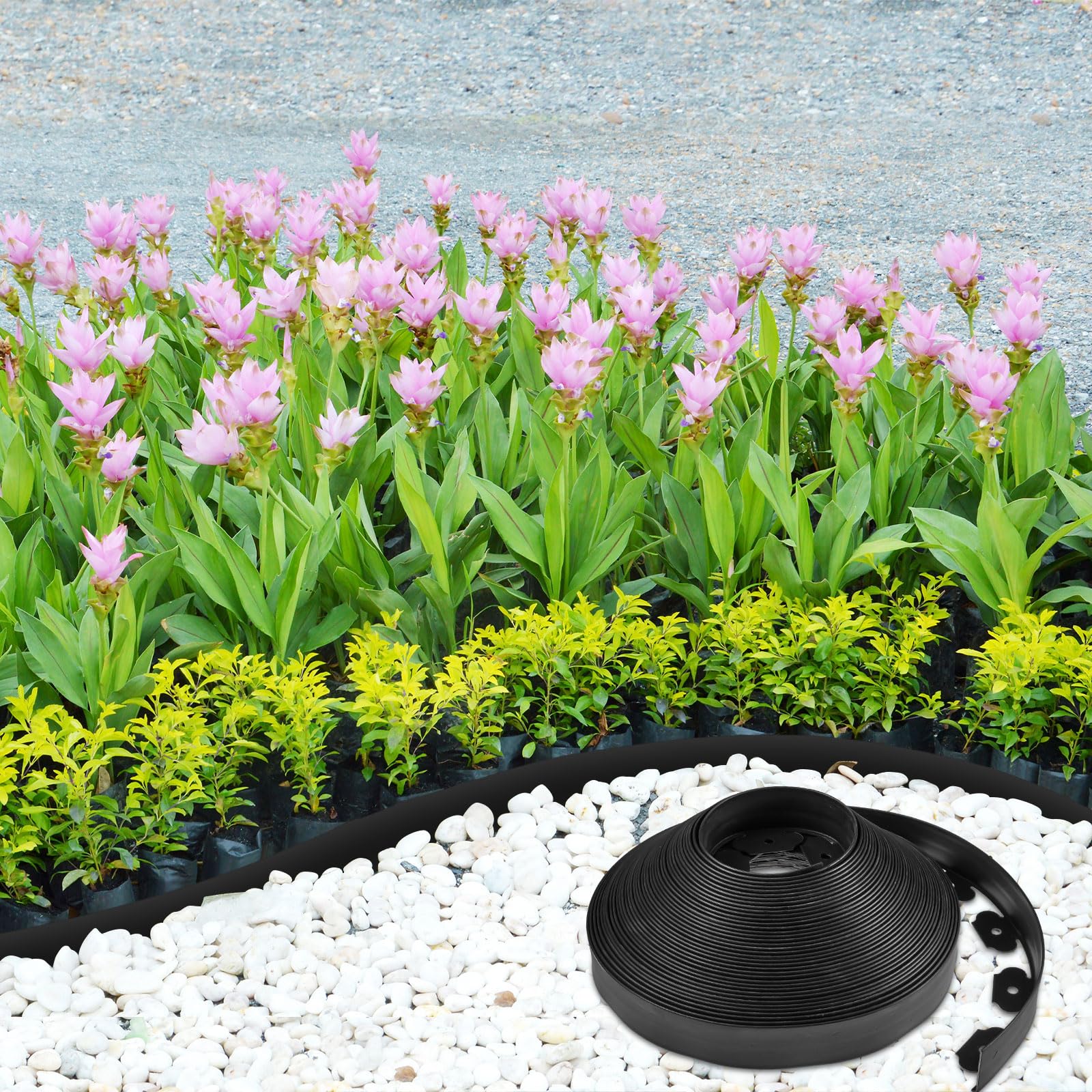Sasylvia edging installed around curved flower bed showing easy shaping and neat separation benefit