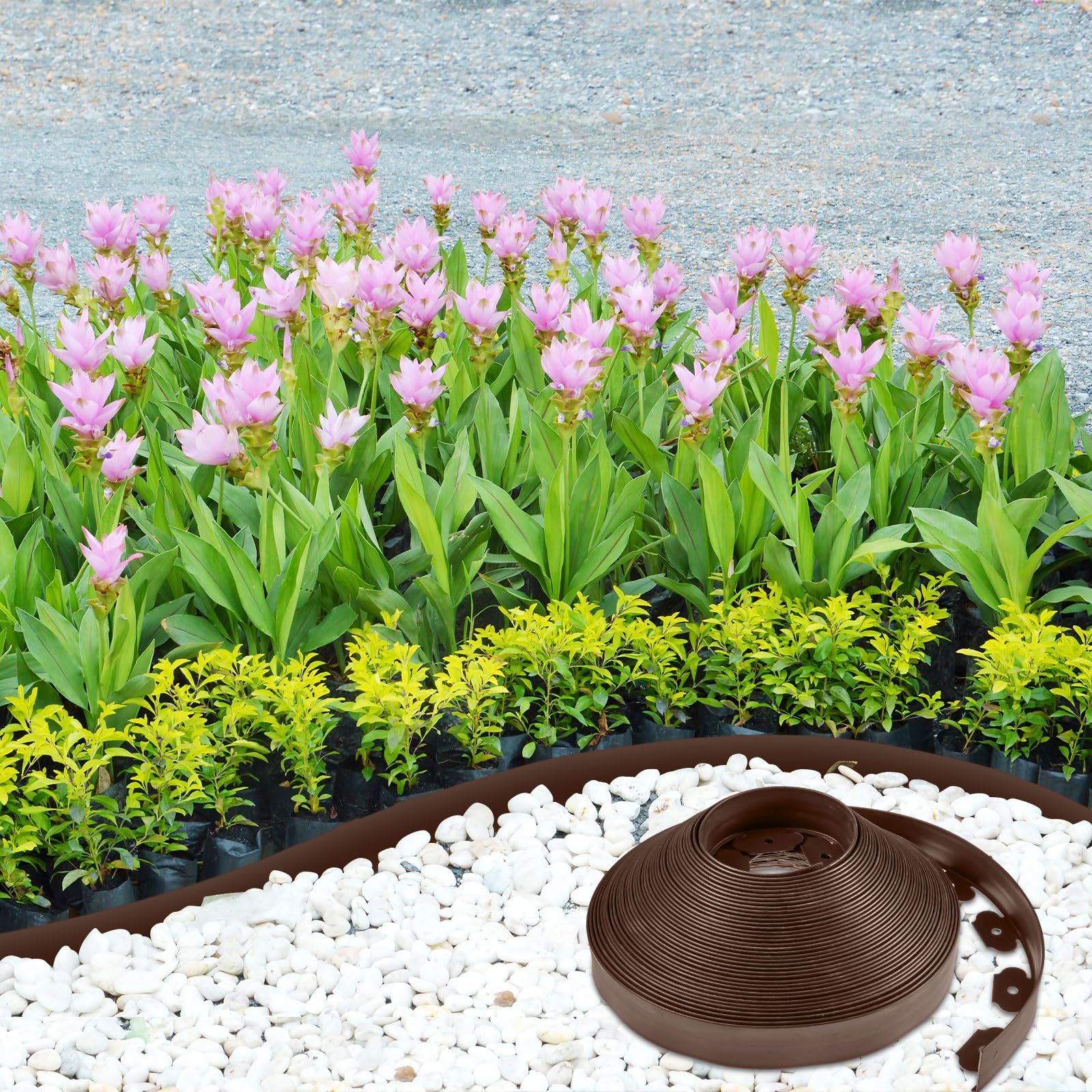 Sasylvia installed on a curved flower bed showing flexible fit and tidy border benefit
