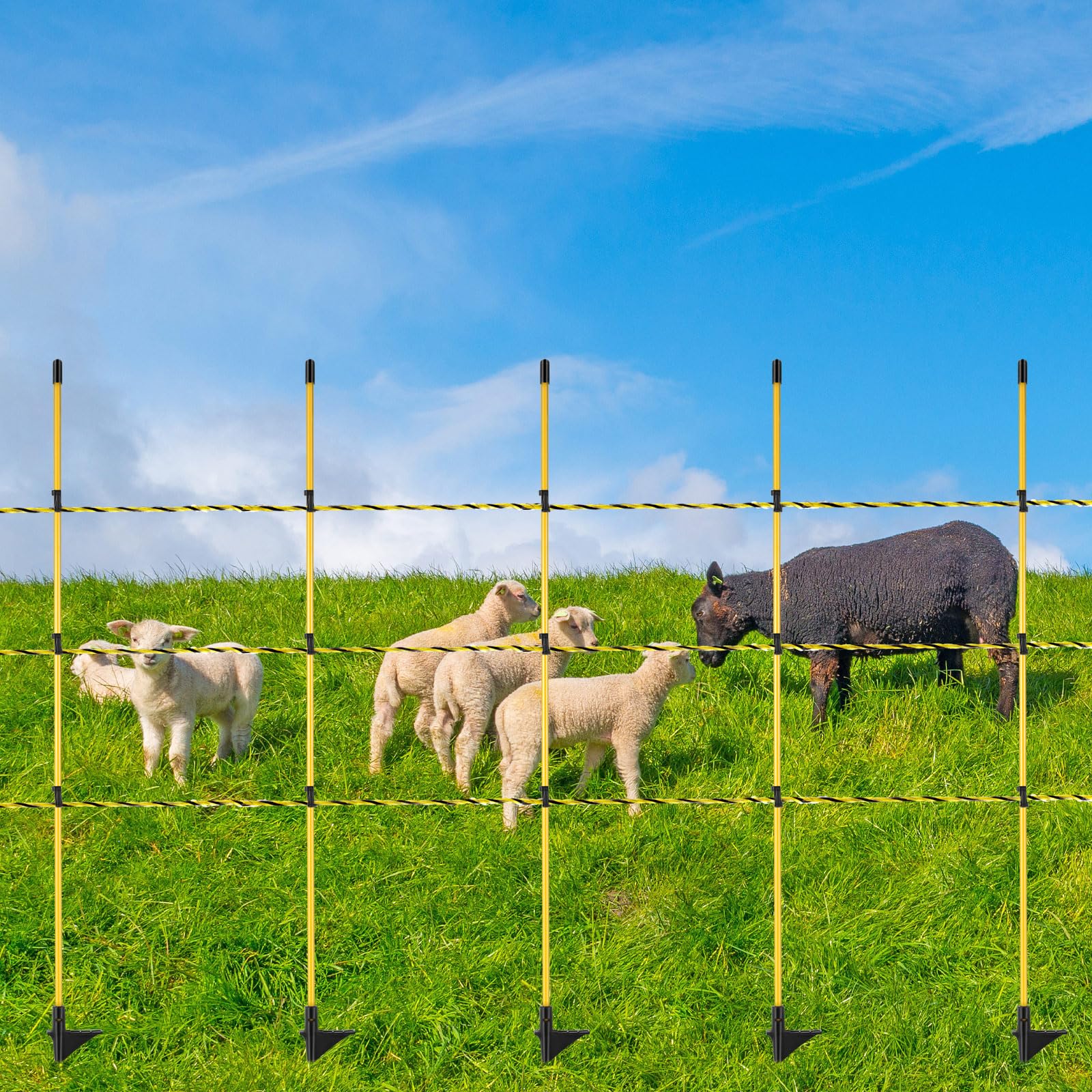 Sasylvia kit packaging and label highlighting included posts and poly wire