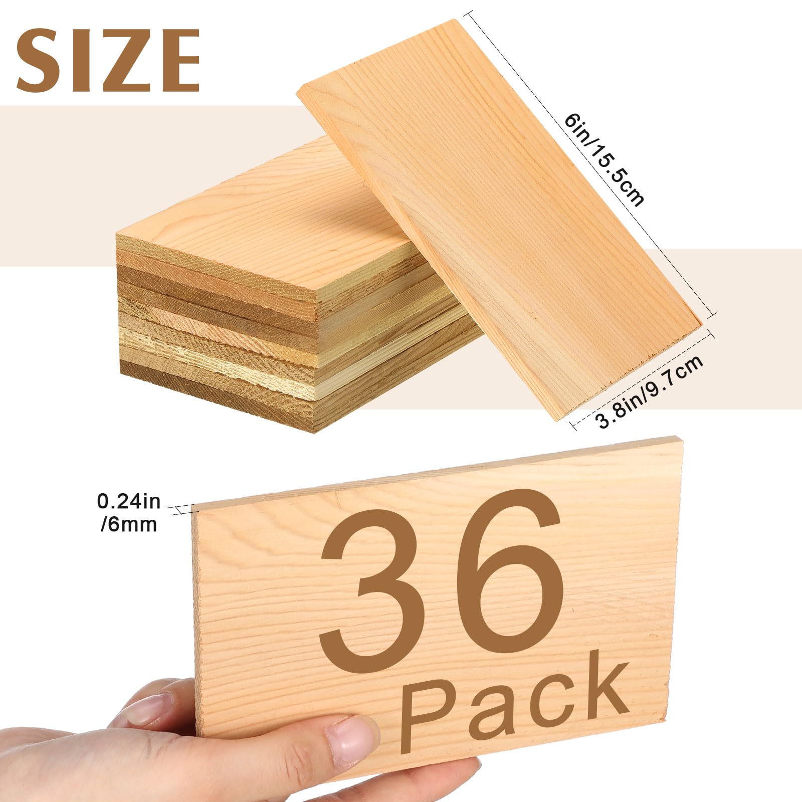 Sasylvia plank edge showing 6mm thickness for even heat transfer