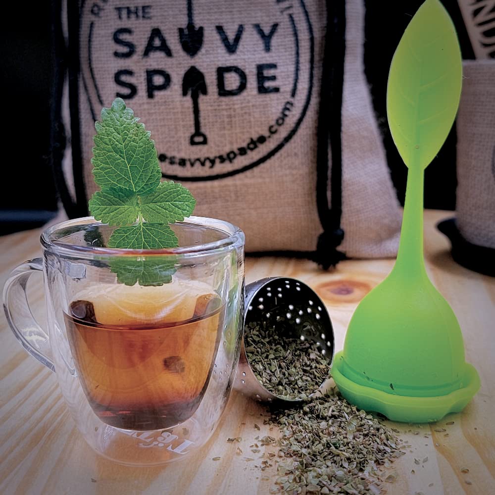 The Savvy Spade kitchen windowsill garden with herbs thriving and fresh leaves ready to harvest