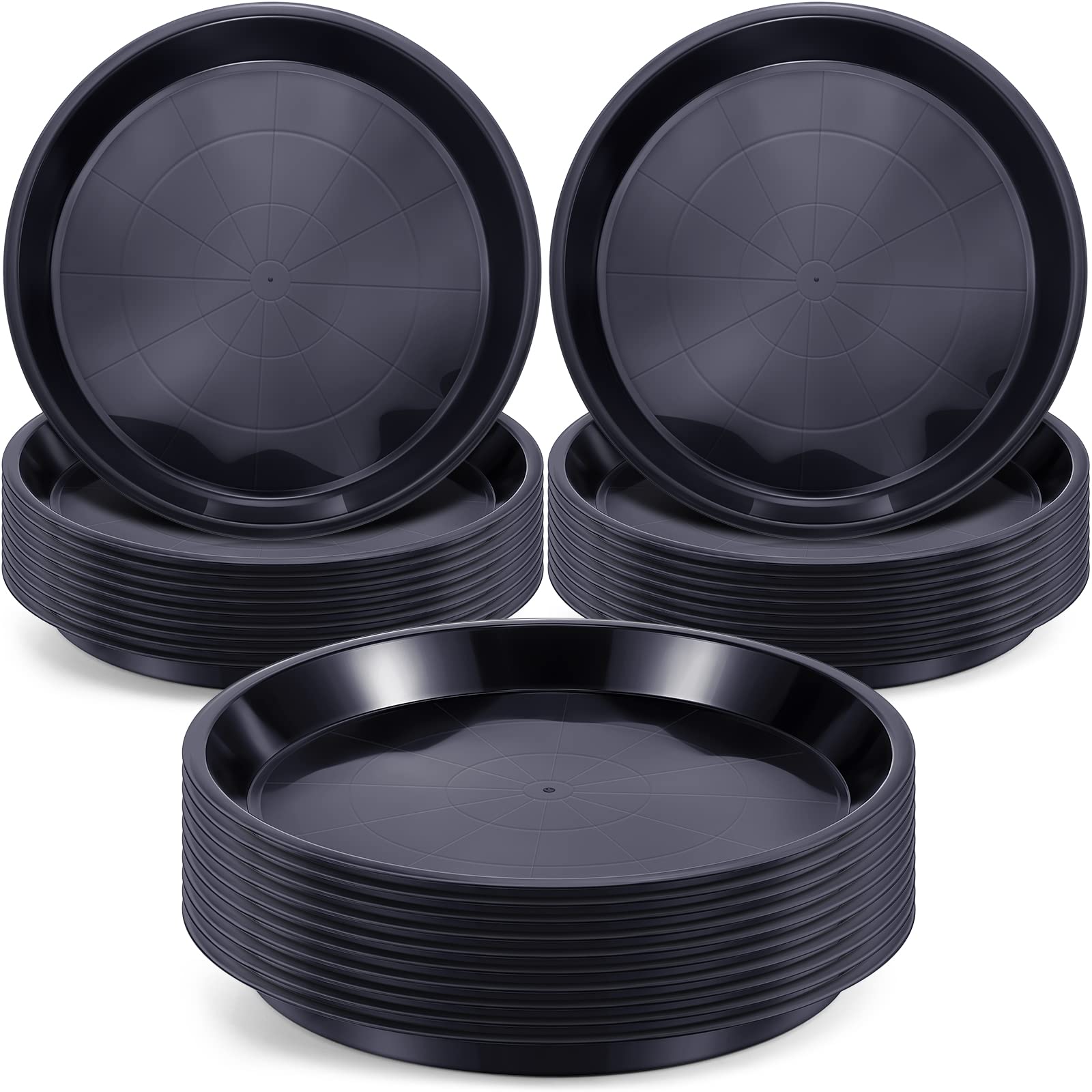 Sawysine front pack of 30 saucers showing value and protection