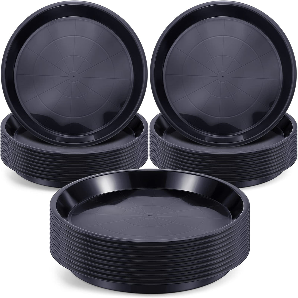 Sawysine front pack of 30 saucers showing value and protection