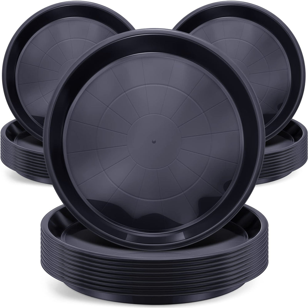 Sawysine front packaging showing 30-pack saucers and space-saving benefit