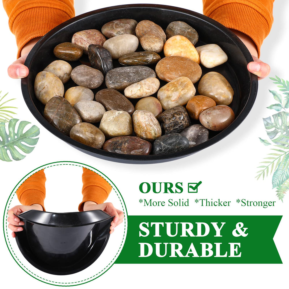 Sawysine saucer under potted plant catching water to protect floor