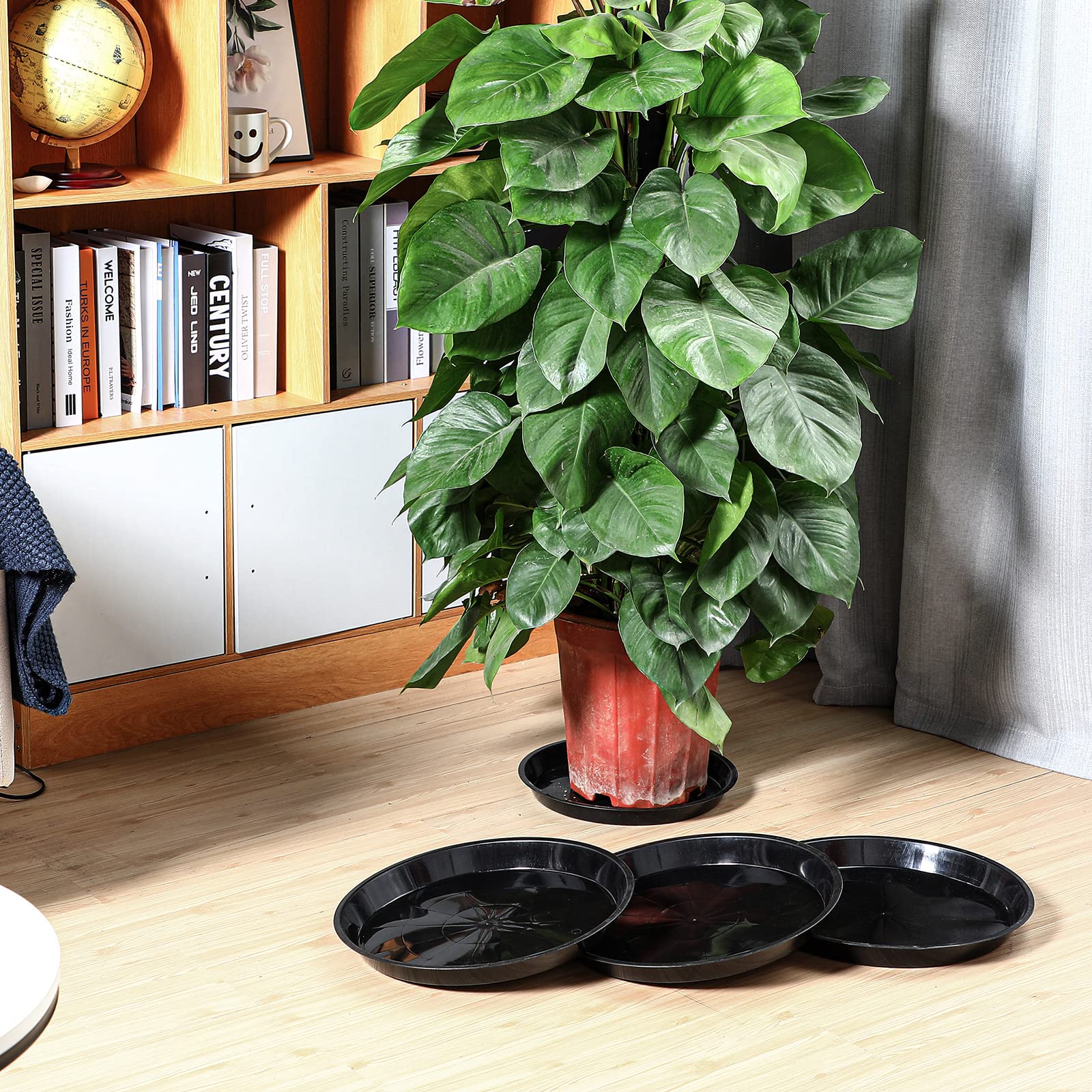 Sawysine saucer beside a planter showing scale and fit for large containers