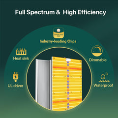 SAYHON SH2000 UV and IR supplement bar close-up with separate switch for spectrum control
