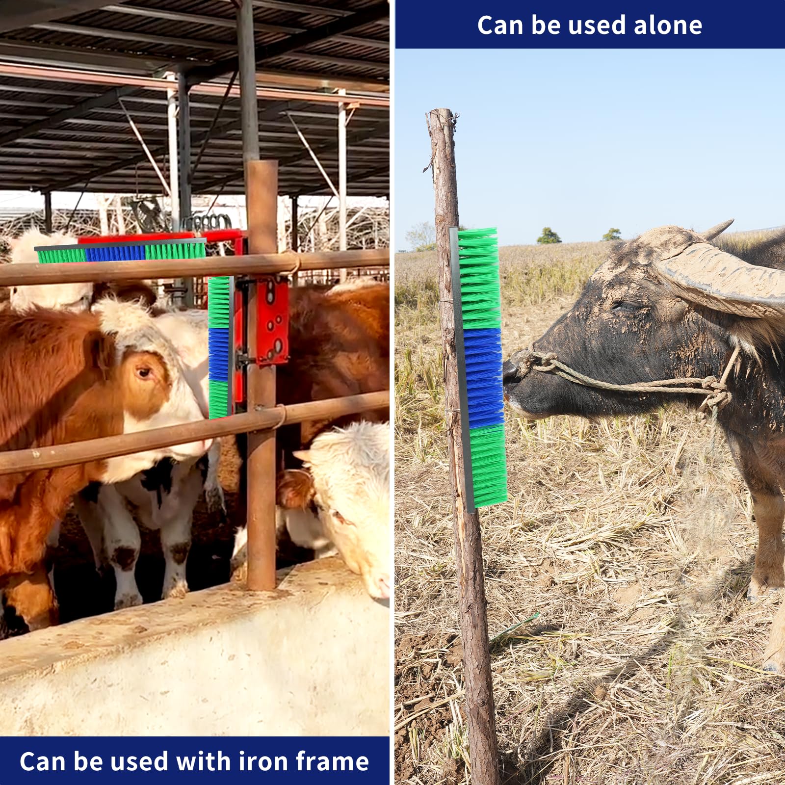 Sayutie brushes installed in barn aisle creating multiple grooming stations for comfort