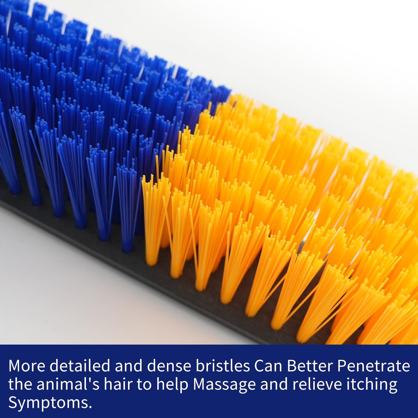 Sayutie bristles close-up showing texture that removes loose hair