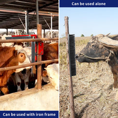 Sayutie cattle using brush in field illustrating soothing scratching and comfort benefit