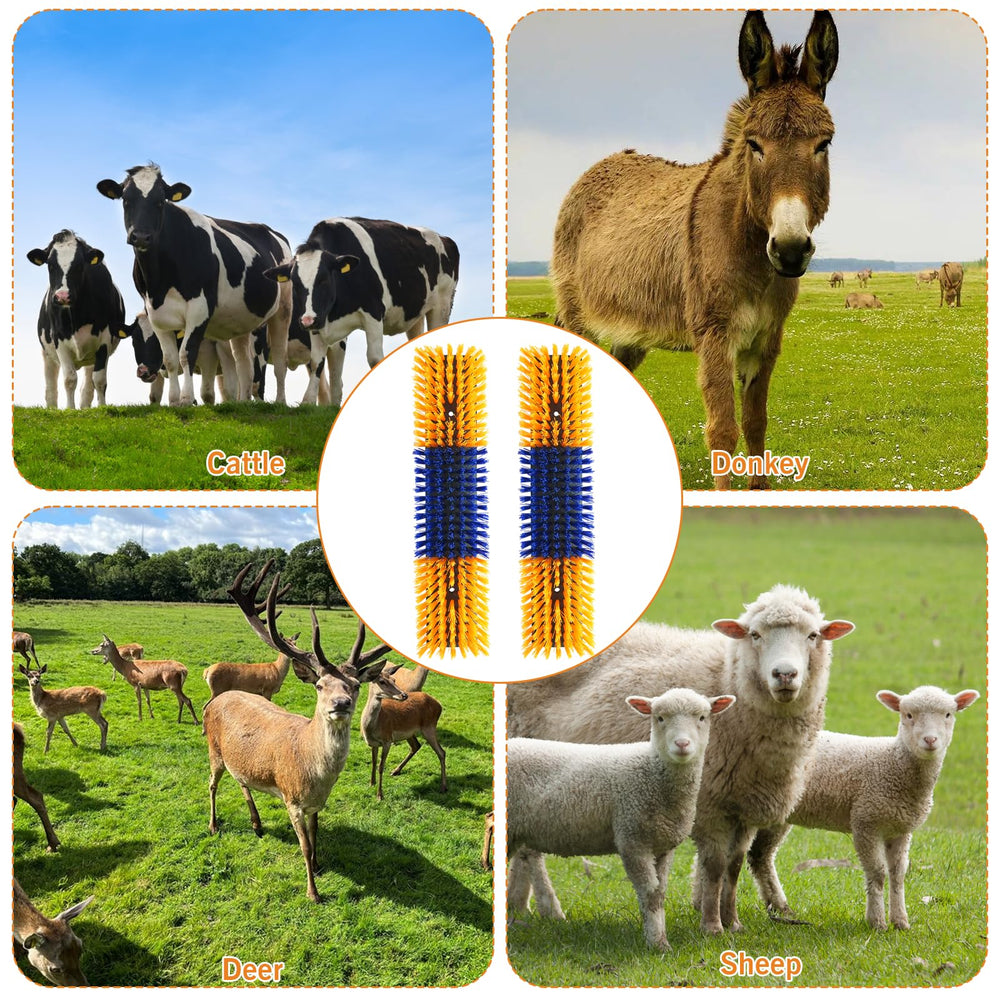 Sayutie brush in use with cow enjoying relief and reduced itching