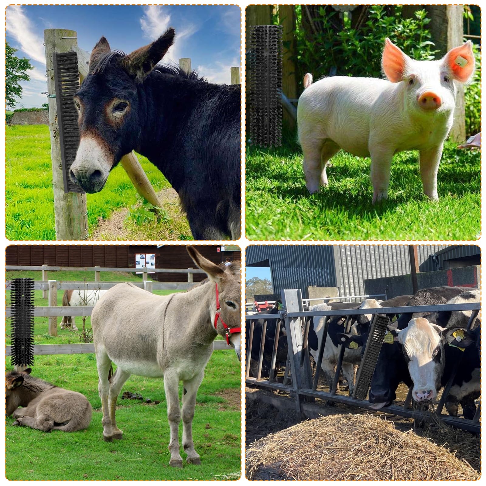 Sayutie stall wall mounted lifestyle showing tidy grooming station and cleaner animals benefit
