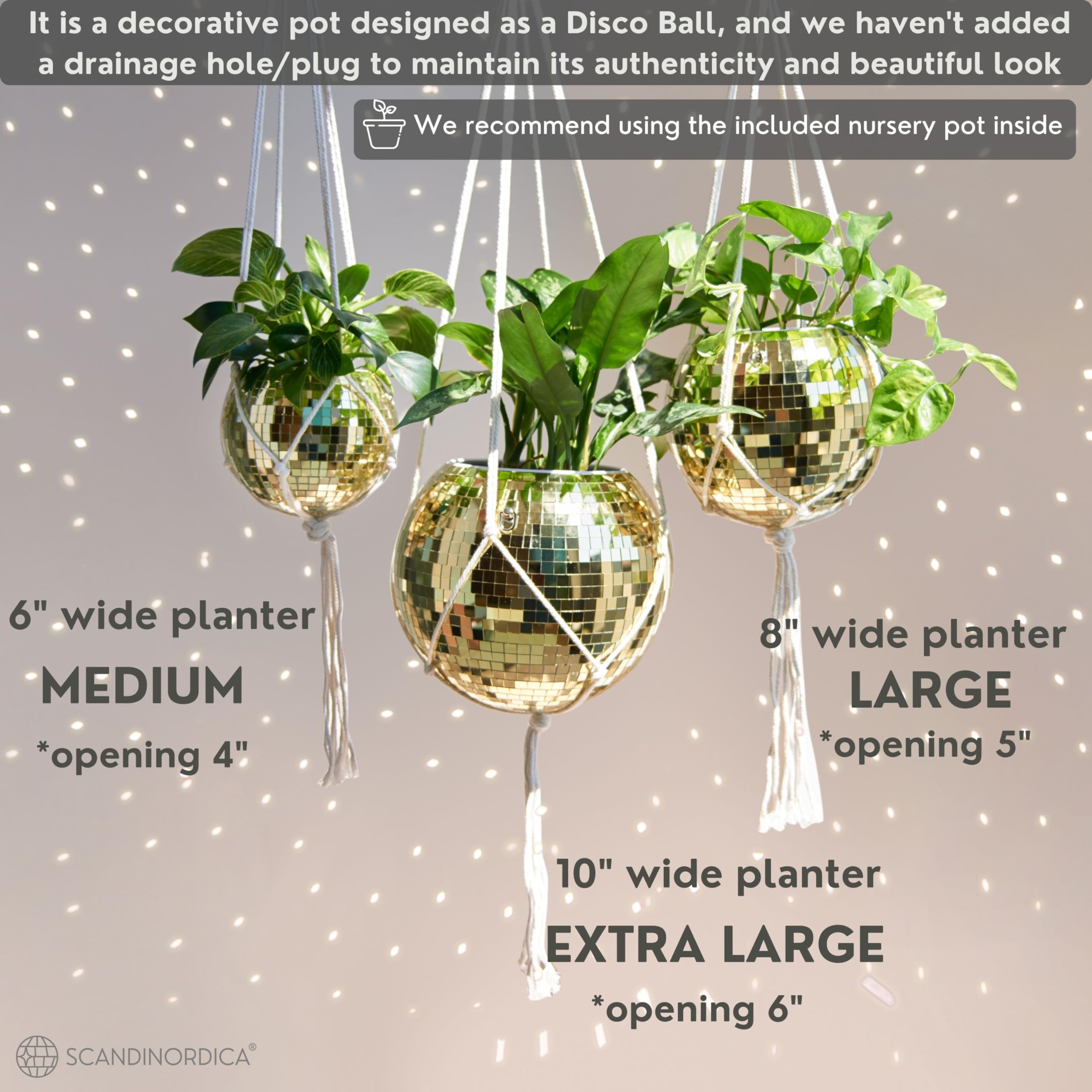 SCANDINORDICA clear acrylic stand holding planter for stable tabletop placement