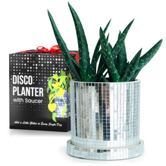 SCANDINORDICA front view of silver disco ball planter showing reflective design and balance