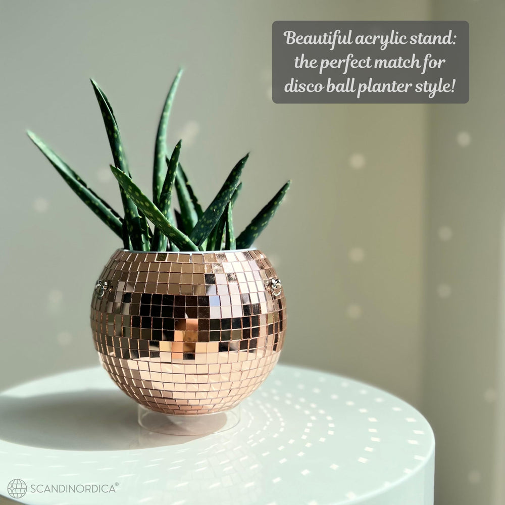 SCANDINORDICA lifestyle shot by window showing light-reflecting planter brightening space