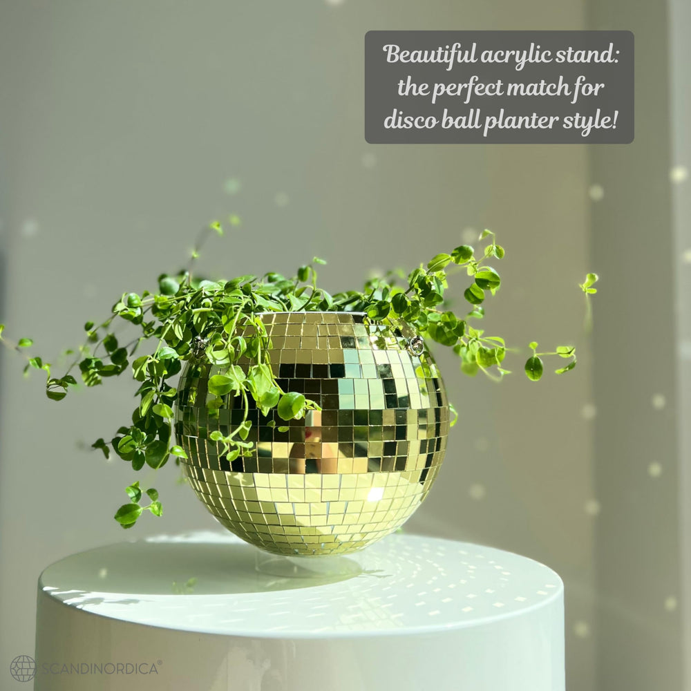 SCANDINORDICA planter with succulent beside ruler showing 8-inch scale and fit