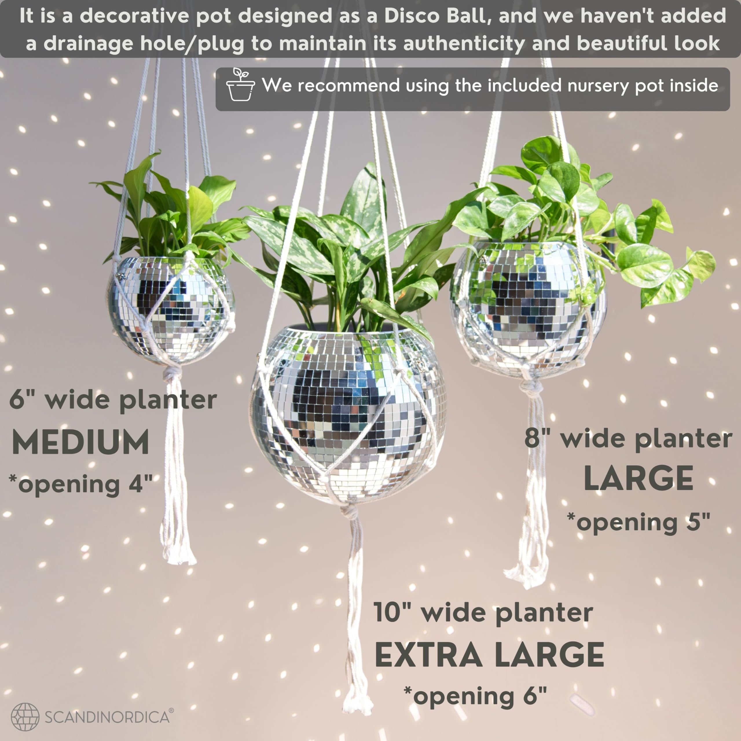 SCANDINORDICA planter on acrylic stand showing stable tabletop display benefit