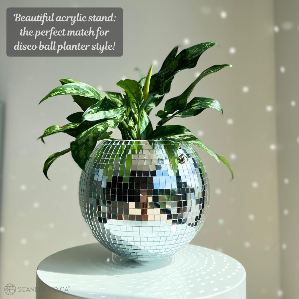 SCANDINORDICA planter with succulent showing size and scale benefit