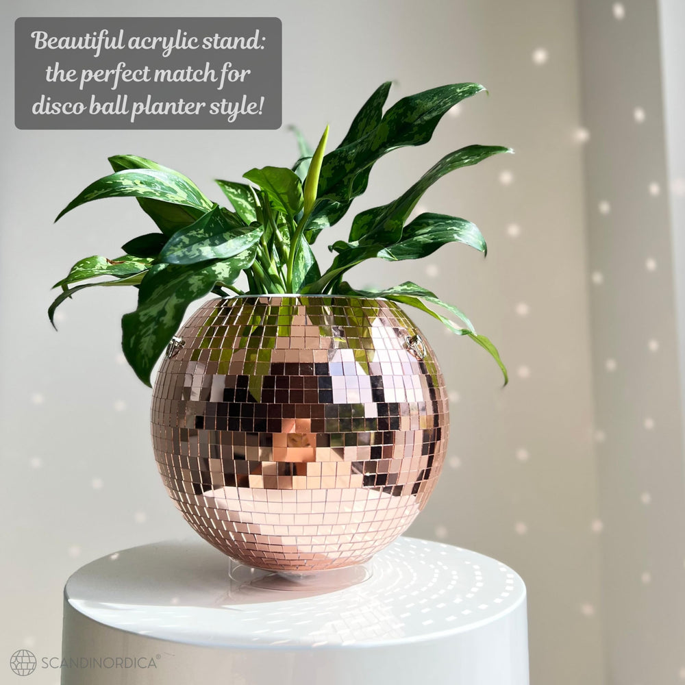 SCANDINORDICA planter in window setting creating decorative reflected light