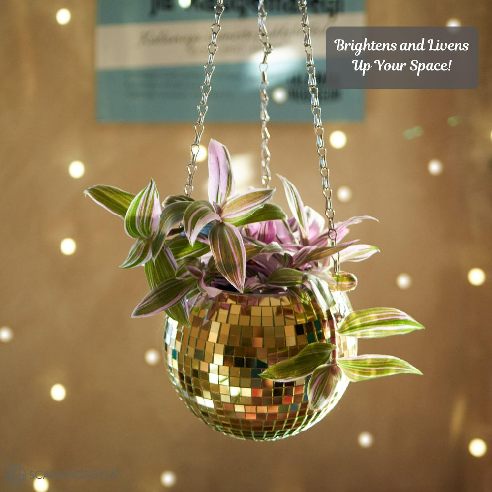 SCANDINORDICA planter on clear acrylic stand showing stable tabletop display