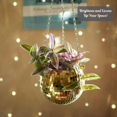 SCANDINORDICA planter on clear acrylic stand showing stable tabletop display