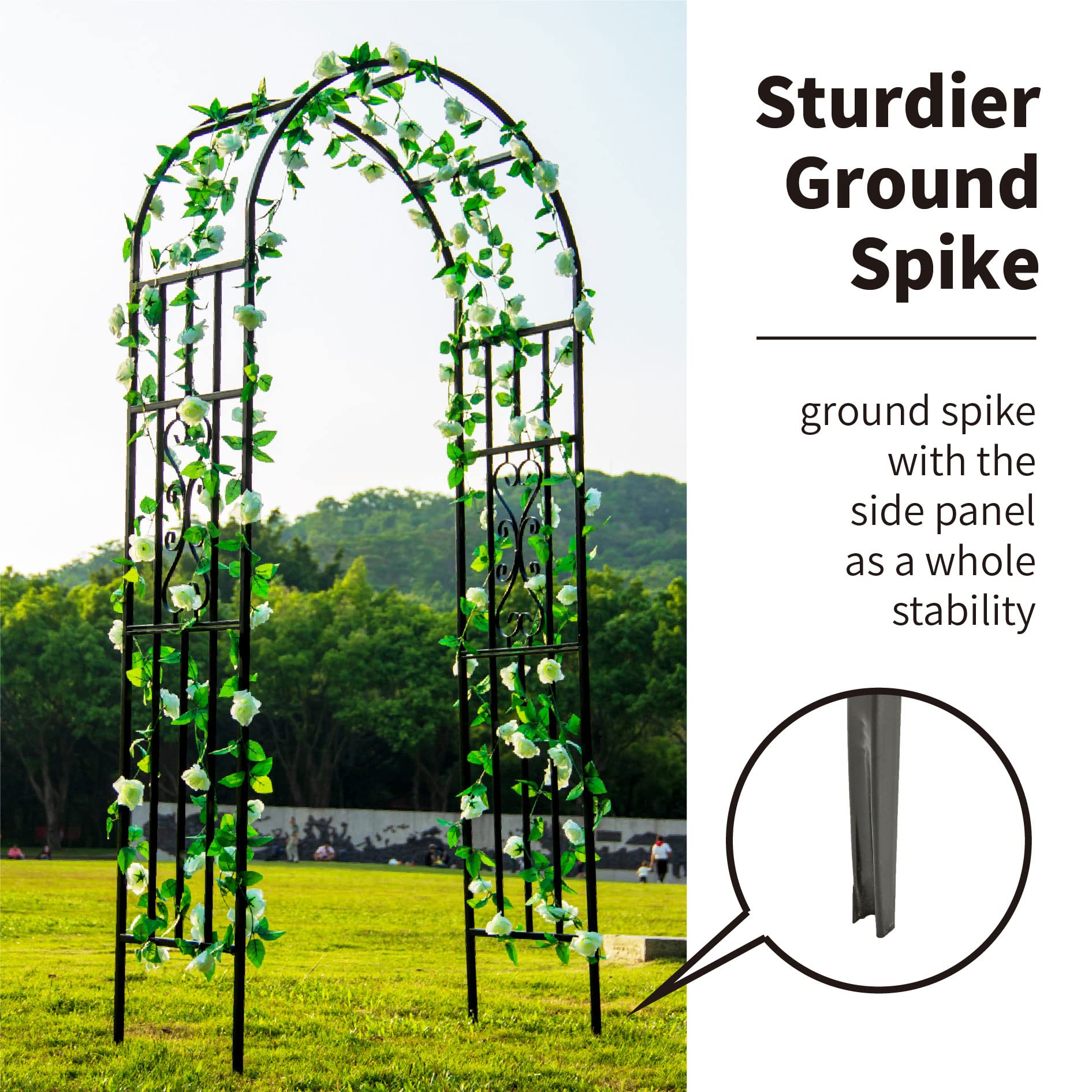 SCENDOR side profile highlighting curved top and elegant visual impact