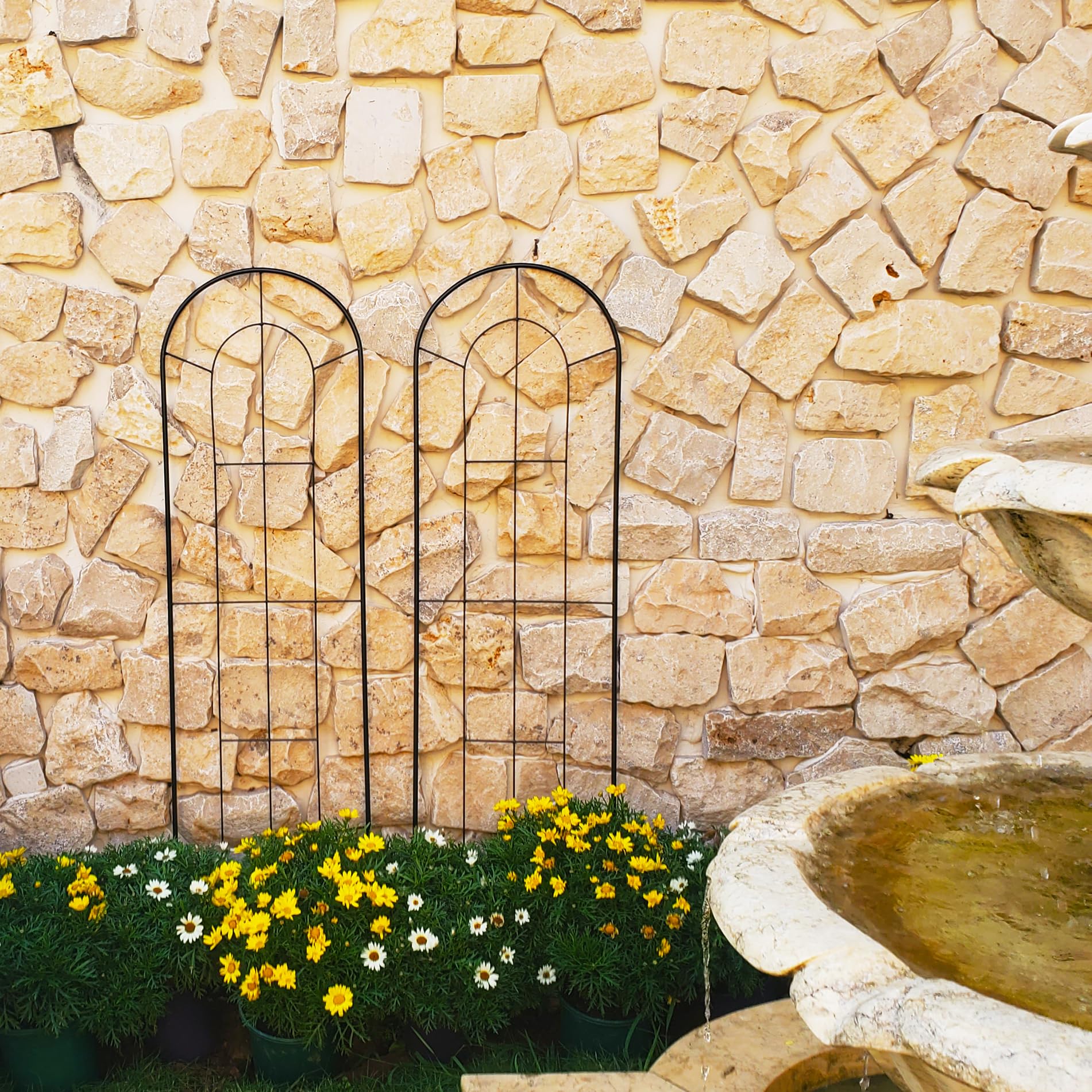 SCENDOR two trellises used as a privacy screen along a fence