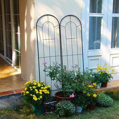 SCENDOR front view of black iron trellis showing sturdy support
