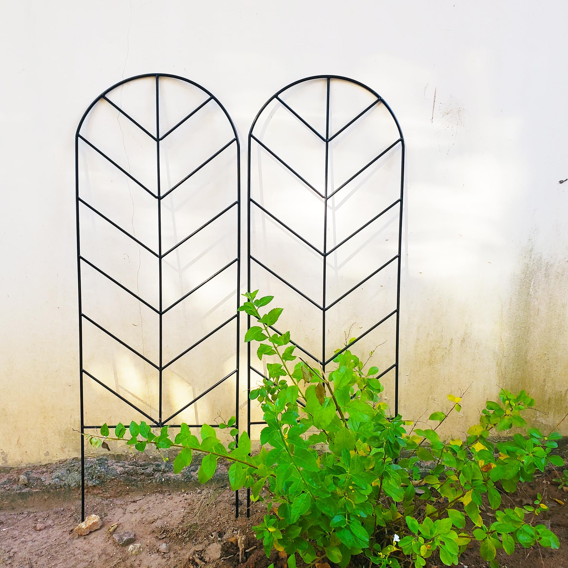 SCENDOR front view of black metal trellis showing shape and decorative support benefits