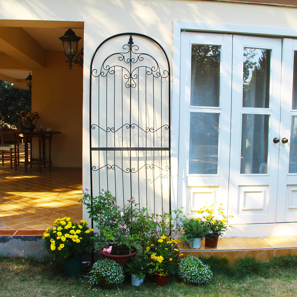 SCENDOR trellis front view showing full height and decorative benefit