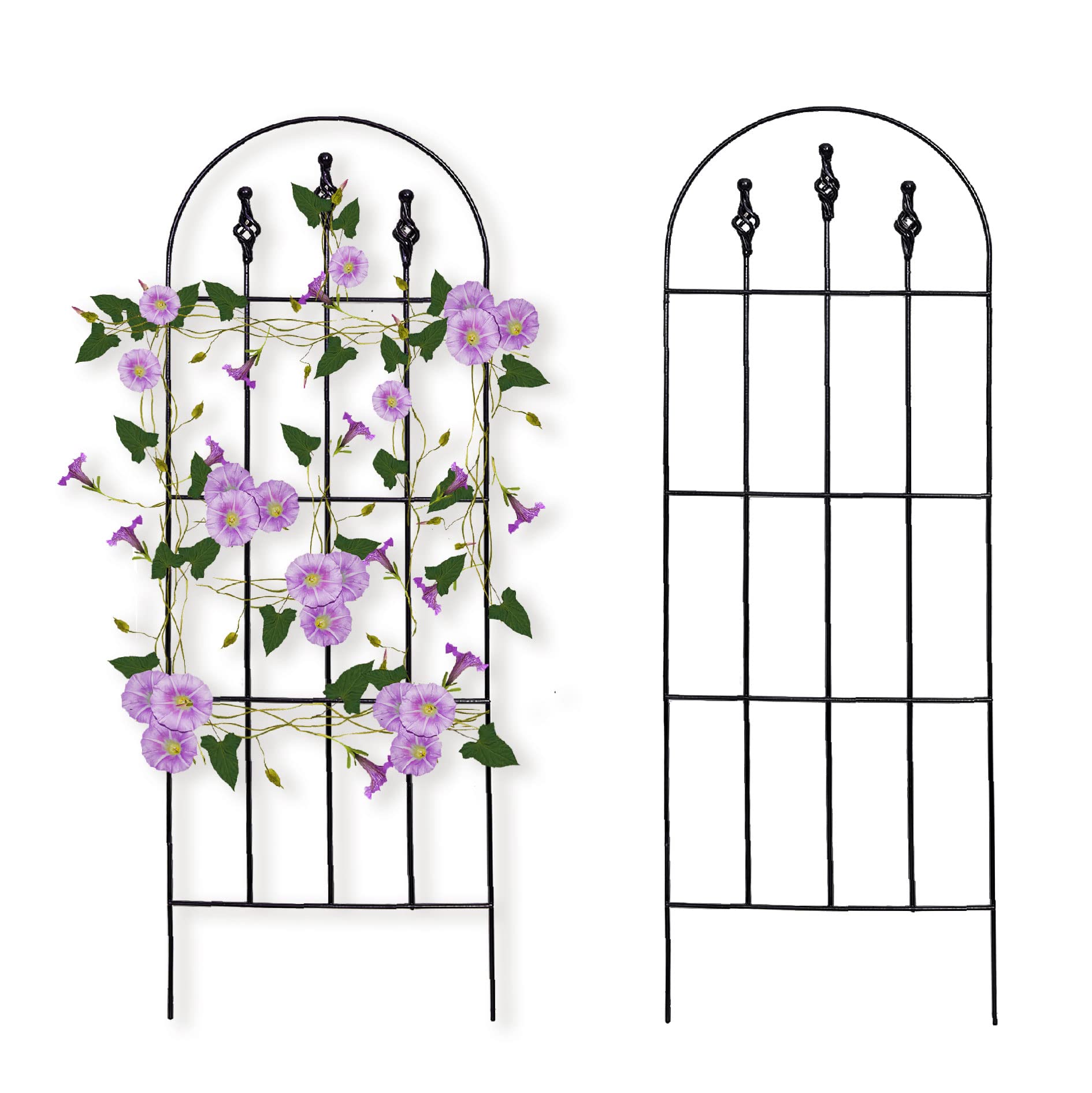 SCENDOR GARDEN front view trellis showing stable design and decorative look