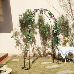 SCENDOR arched trellis in garden with climbing roses demonstrating plant support