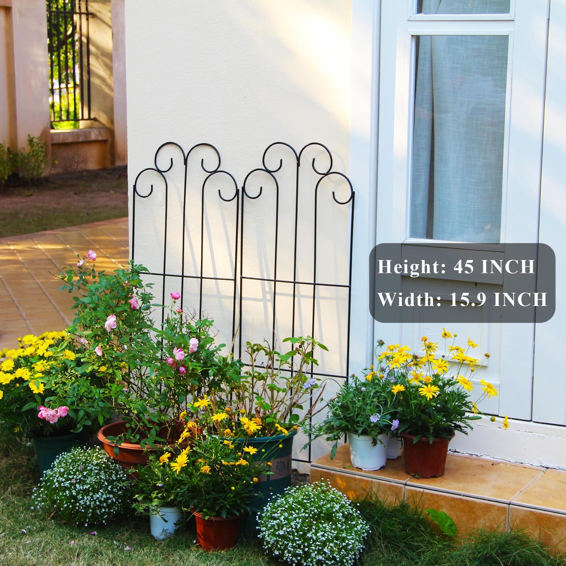 SCENDOR trellis installed in garden supporting vines and saving space benefit