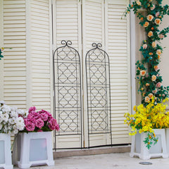 SCENDOR trellis placed in container showing space-saving vertical gardening benefit