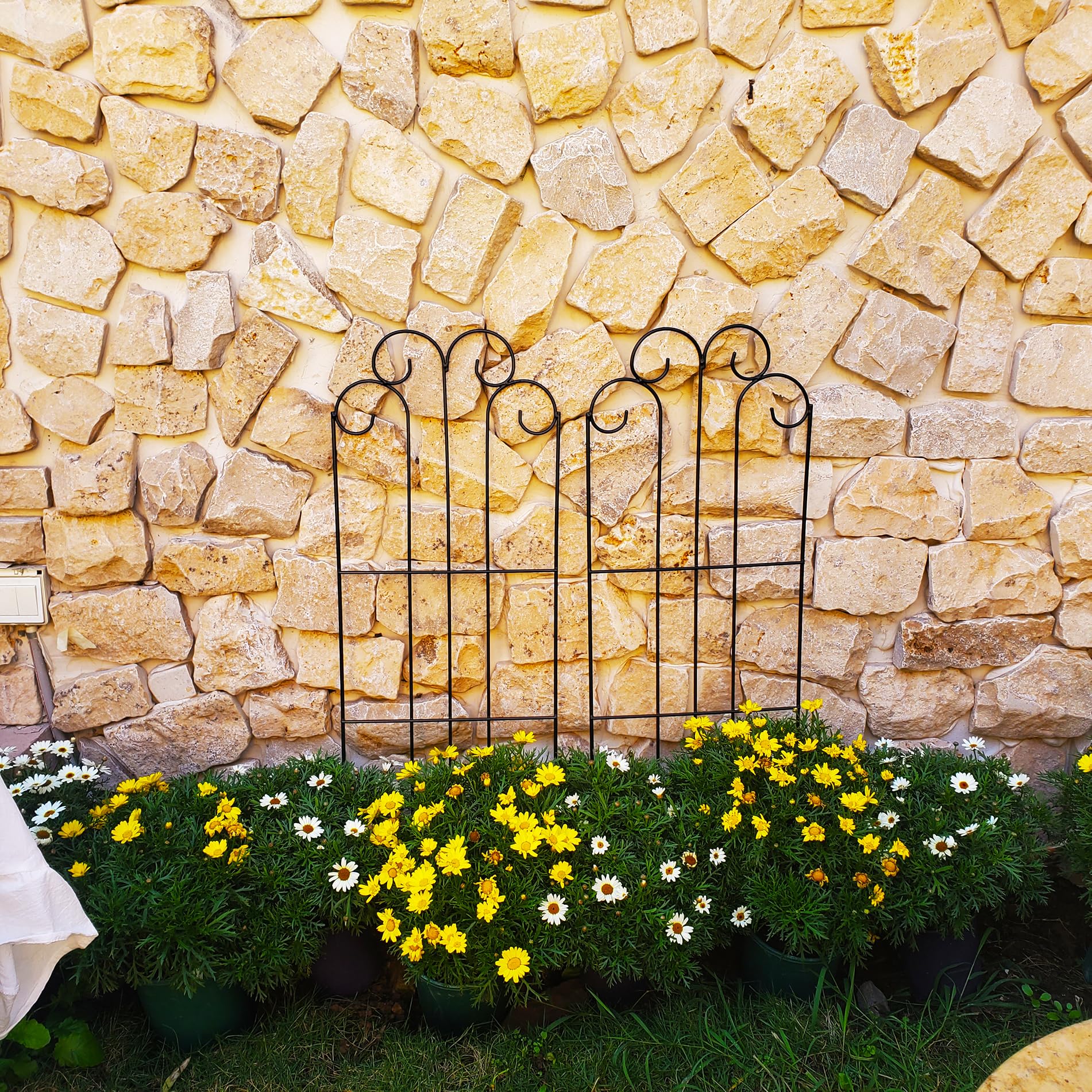 SCENDOR trellis next to ruler for scale to show 45-inch height benefit