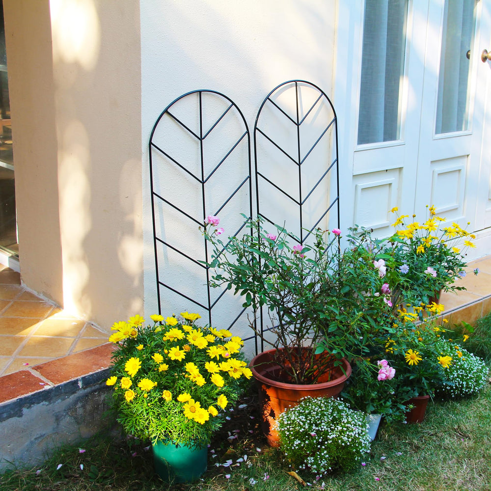 SCENDOR trellis beside a ruler showing 45-inch height for proper sizing benefit