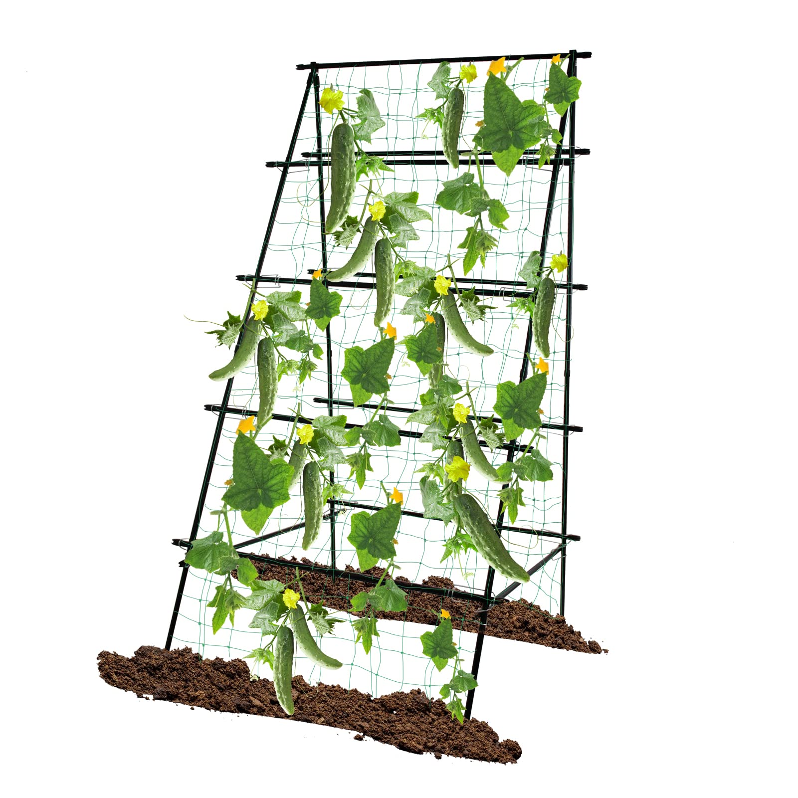 SCENDOR front view assembled trellis showing full height and dual growing faces for space saving