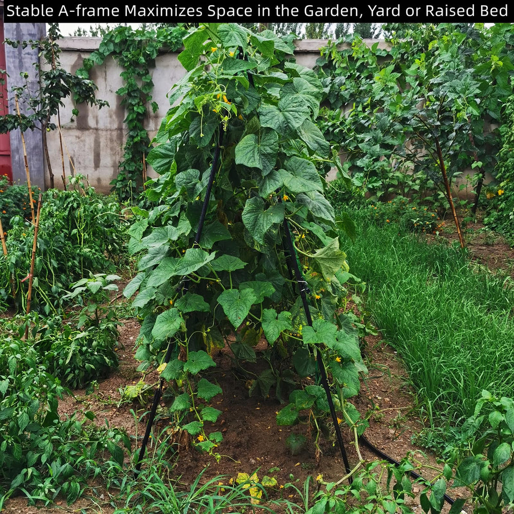 SCENDOR netting and sure-clips close-up holding vines and making attachment easy