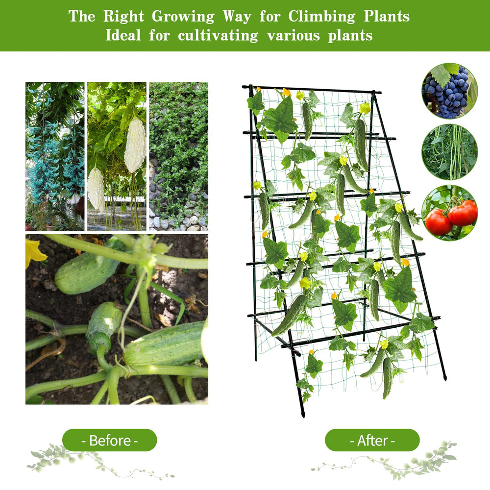 SCENDOR trellis next to person to show height and scale for planning garden layout