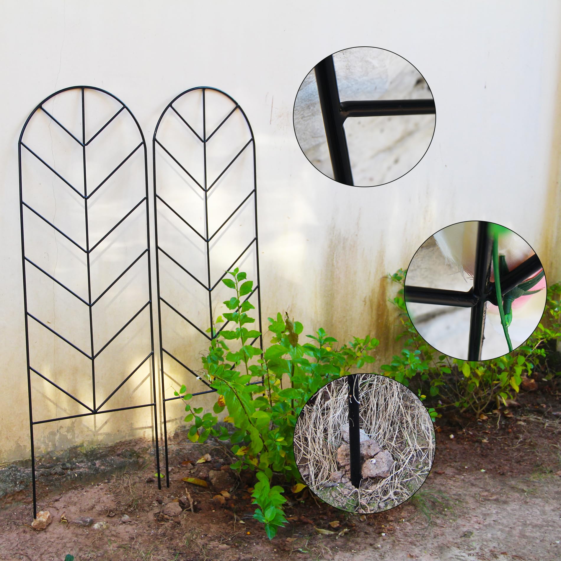 SCENDOR trellis supporting blooming roses for better growth and tidy appearance