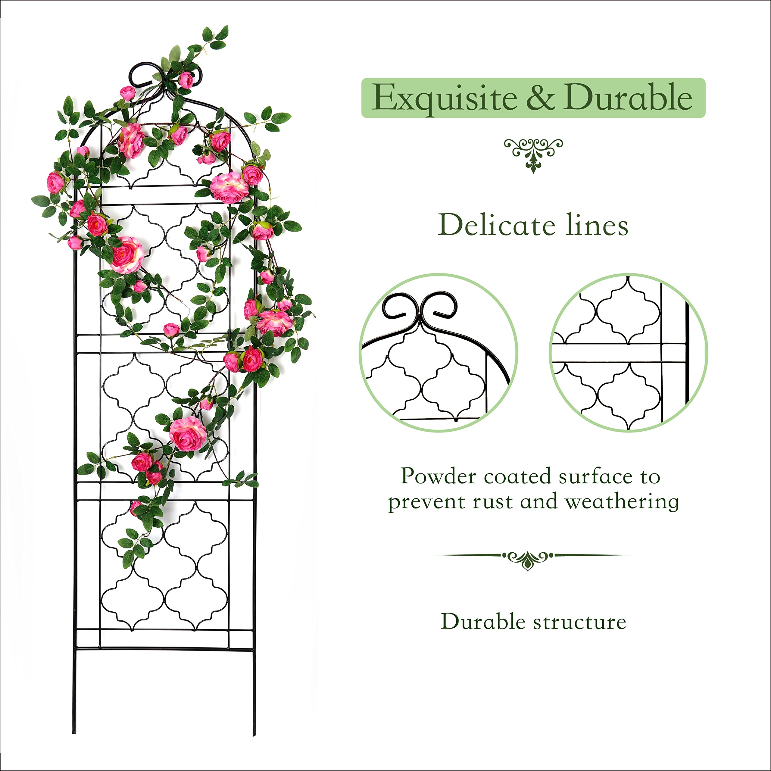 SCENDOR trellis supporting tomato vines showing healthy plant support benefit